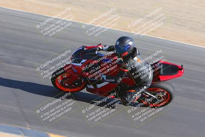 media/Nov-11-2023-SoCal Trackdays (Sat) [[efd63766ff]]/Turn 10 Inside (120pm)/